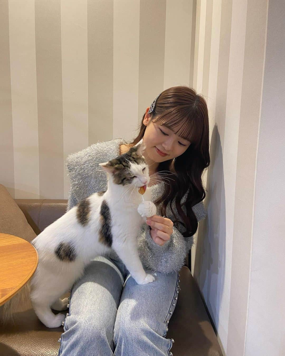 中村真凜さんのインスタグラム写真 - (中村真凜Instagram)「猫ちゃんに会いに @mocha.tachikawa へ🐈 ・ 最初ちょっと怖かったんやけど…みんなとっても穏やかで おやつ持った瞬間集まってきてくれるのが可愛すぎたなぁ♡" ちゃんと順番待ちしてる姿にズキュンと胸打たれた…🥹‼︎ ・ ちょうどお昼寝時間で寝てる子多めやったけど、 寝顔にも癒されたし、それぞれの個性？性格？が垣間見れて 観察してるのも楽しかった~😽✨ ・ #PR #猫カフェmocha #猫カフェ #立川猫カフェ #立川カフェ」11月12日 20時57分 - marimero1121