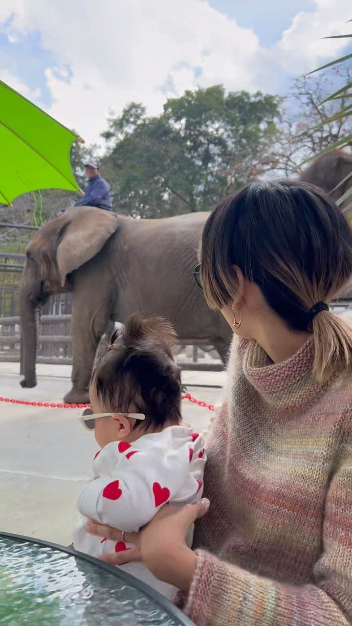 古賀あかねのインスタグラム