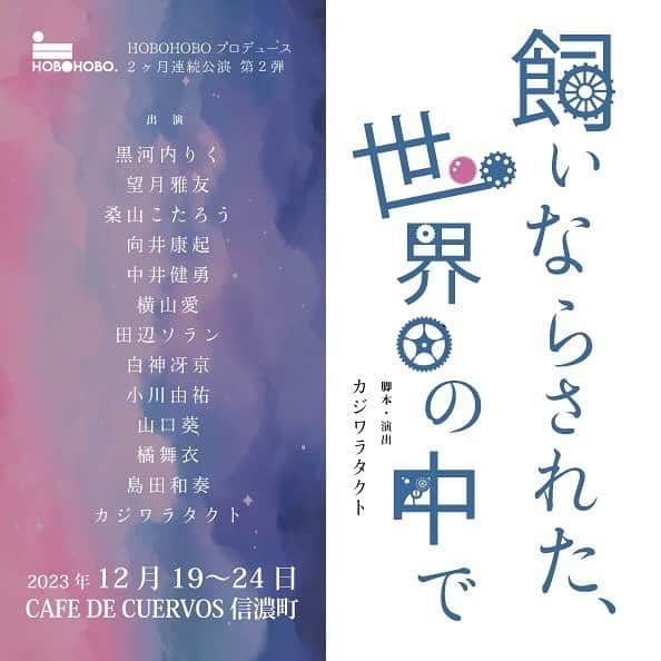 山口葵のインスタグラム：「. 11月に引き続き12月、舞台出演いたします！ 　　 　　 ホボホボプロデュース企画第二弾  12/19(火)〜24(水)  『飼いならされた、世界の中で』 脚本・演出　カジワラタクト  【キャスト】 黒河内りく 望月雅友 桑山こたろう 向井康起 中井健勇 横山愛 田辺ソラン 白神冴京 小川由祐 山口葵 橘舞衣 島田和奏  【公演スケジュール】 12/19(火)19:30 12/20(水)19:30 12/21(木)19:30 12/22(金)19:30 12/23(土)14:00/18:00 12/24(日)13:00/17:00  【チケット】 前売り券：4000円 当日券：4500円 初日割：3500円  【会場】 カフェクエルボス  新宿区信濃町8-11B1F  JR信濃町駅徒歩6分 丸ノ内線四谷三丁目駅徒歩10分」