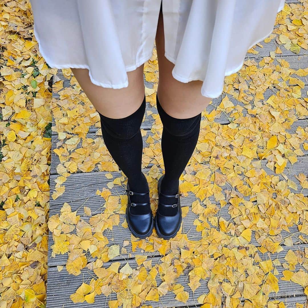 우~~사기다のインスタグラム：「다리 시려」