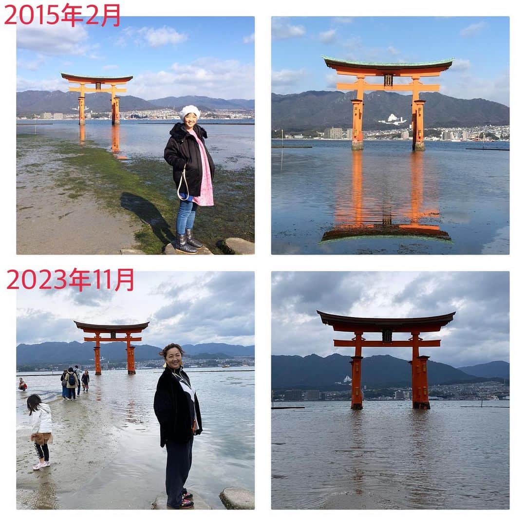 森本千絵のインスタグラム：「8年ぶりに厳島神社へ来ることができました。 2015年の時は、妊娠中戌の日のお参りと、義兄の結婚祝いでした。 無事、娘も８歳となりお礼参りをしました。 8年前とは違い、沢山の海外観光客で神社の方もてんやわんやで 私にまで英語で話しかけてくる次第です。  年内に来れてよかったです。  #MrChildren広島公演」
