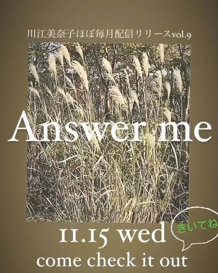 川江美奈子のインスタグラム：「・ 【お知らせ】 11/15（水） （火曜日の深夜24時！）  新曲 『Answer me』  配信リリースします！ 色んな国で聴いてもらえたら嬉しいなぁ…！って思ってます。  皆さまぜひチェックしてね❤︎」