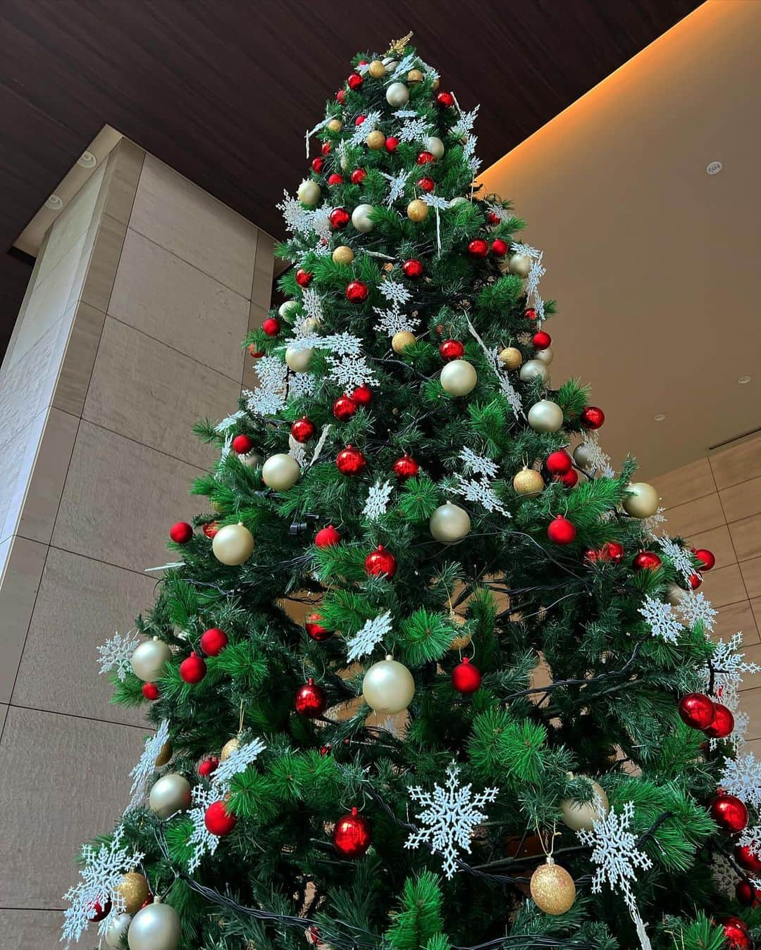 大川成美さんのインスタグラム写真 - (大川成美Instagram)「初クリスマス🎄ツリー❤️」11月12日 14時02分 - naru_coco