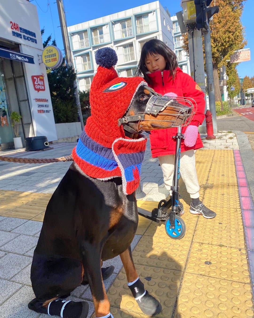 鄭大世のインスタグラム：「귀여워… 배드맨이 더 어울릴것같은데 아들거 그냥 쓰네 ㅋ」