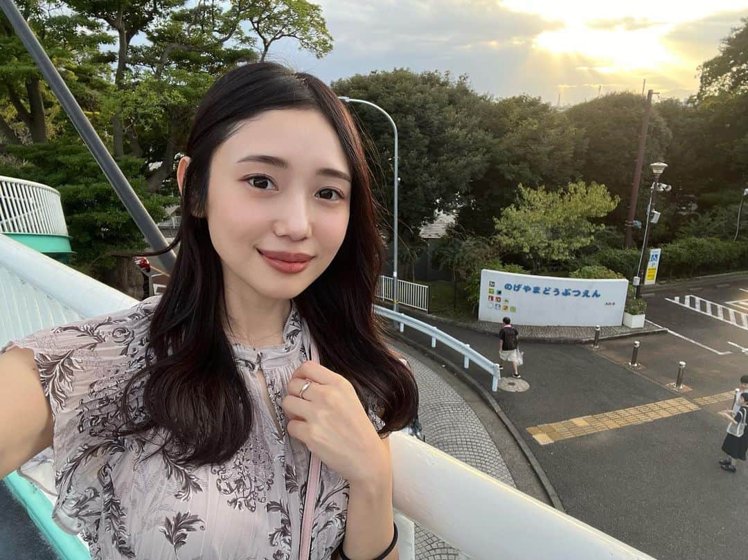 森ニーナのインスタグラム：「週末いかがお過ごしですか？ 急に寒くなりましたね🍵🫠  私は最近、お休みの日よく動物園に行きます☀️大きな所だと1万歩くらい歩けるので良いお散歩になります🚶‍♀️  きりんがやっぱり1番好きですが🦒 みなさんは動物園に行く時どの動物を見るのが楽しみですか？✨」