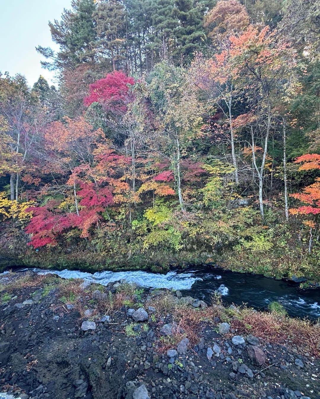 森原康平さんのインスタグラム写真 - (森原康平Instagram)「記録  @blanc.fuji   コンセプト通り、 自然豊かで澄んだ空気の中 「余白」を存分に味わいました。  忙しい日常に感じる充実感も良い。 ゆっくりと流れる時を過ごすもまた良い。  #余白  #sauna」11月12日 14時13分 - kohei_morihara