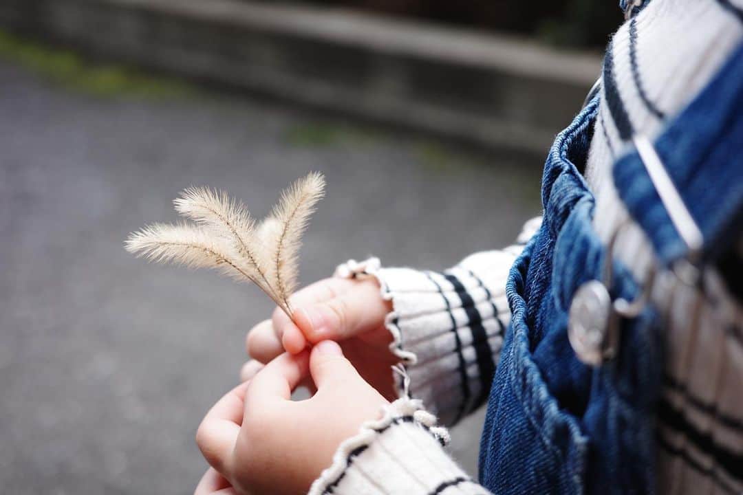 shuのインスタグラム：「ㅤㅤㅤㅤㅤㅤㅤㅤㅤㅤㅤㅤㅤ 昨日は保育園に移動動物園が来ていて娘と2人で参加、たくさん触れ合ってきました。帰りは秋の気配を探しながらプラプラ帰りました。癒しの休日！！」