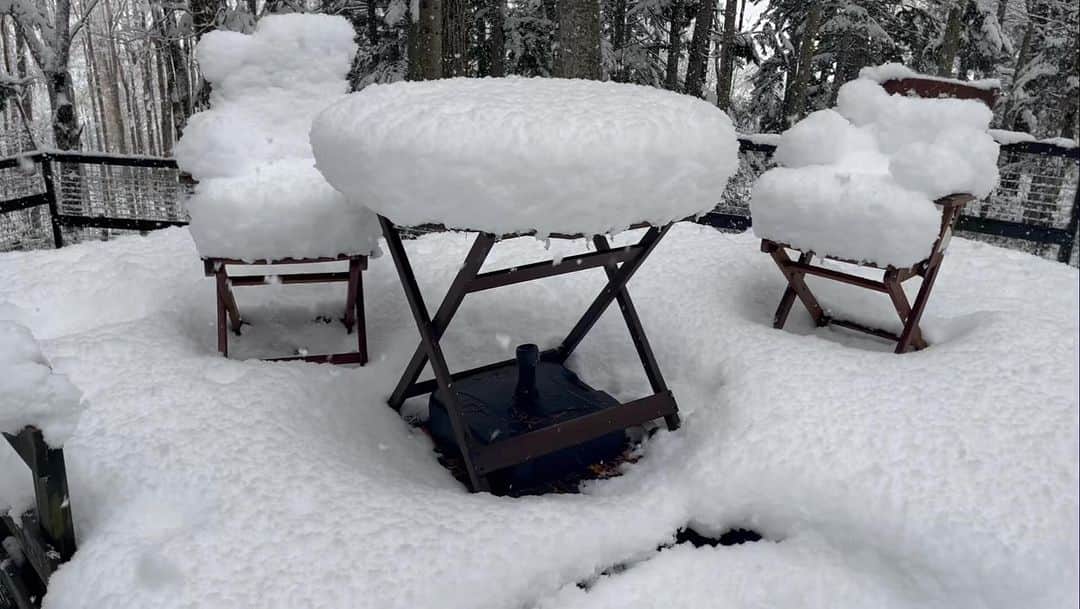 鈴井貴之のインスタグラム：「びっくりです。 根雪にはならないでしょうが 森は真冬になってました。」