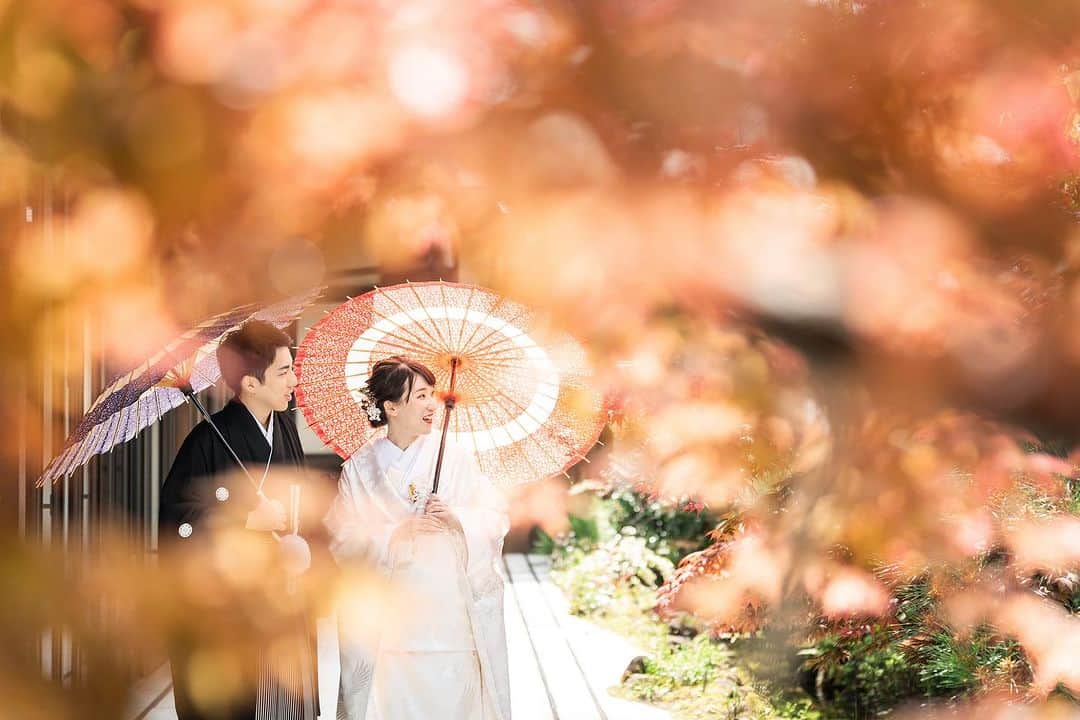 KIYOMIZU京都東山 公式さんのインスタグラム写真 - (KIYOMIZU京都東山 公式Instagram)「・ 木々の葉が赤や黄色に色づく季節になりました  KIYOMIZU京都東山の庭園も 綺麗で写真映えする空間に🍁  -———————  @kiyomizu_kyoto_higashiyama をフォローし 【#kiyomizu京都東山】で検索してくださいね❖  #スタイルズ花嫁 #KIYOMIZU京都東山 #KIYOMIZU花嫁 #ブライダルハウスtutu #シェアーズヘアメイク #京都花嫁 #京都結婚式 #京都結婚式場 #京都婚 #和婚 #結婚式準備 #花嫁準備 #結婚式レポ #結婚式レポート #ガーデンウェディング #庭園 #ウェディングフォト #フォトウェディング #紅葉 #和装 #白無垢 #番傘 #番傘ショット」11月12日 15時01分 - kiyomizu_kyoto_higashiyama