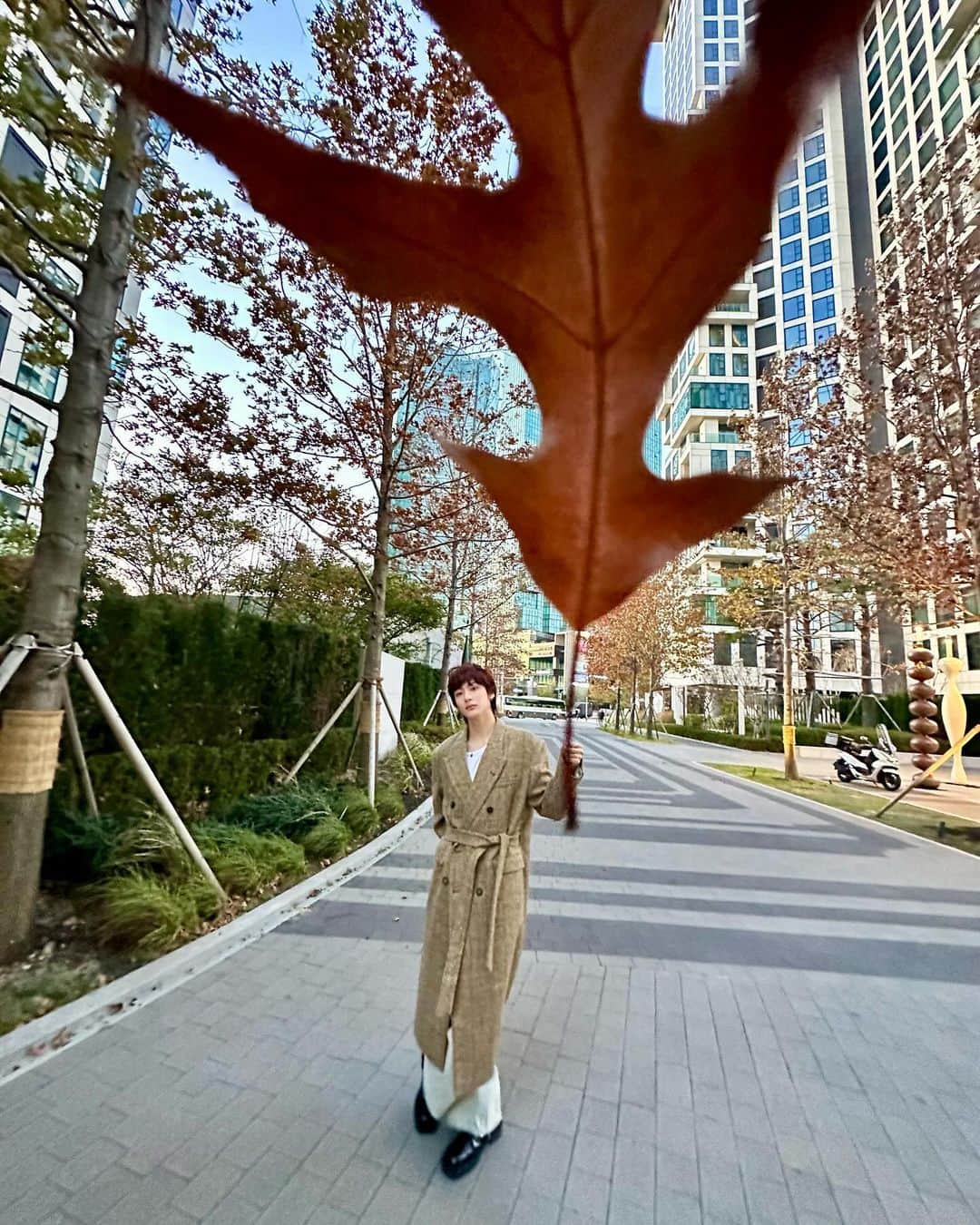 のインスタグラム：「leaves fallin 🍃🍂🍁  #RIIZE #라이즈 #ANTON #앤톤 #RISEandREALIZE」