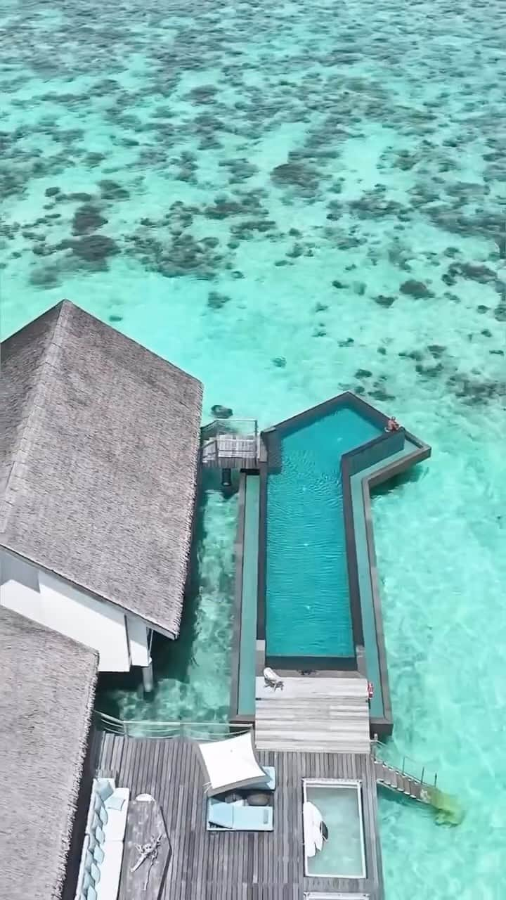 Maldivesのインスタグラム：「Indulge in the epitome of luxury at Four Seasons Voavah Maldives, your exclusive Private Island Retreat.   For bookings and inquiries contact us: WhatsApp+960 760 5656 | www.nichegetaways.com   Video @mirko   #nichegetaways #maldivesislands #luxurytravel #travelinspiration #Privateisland #privateislandrental #beachresort #fsmaldives #privateislandresort #exclusiveislands #beachvacation #peacefullplace #luxuryholiday #voavahprivateisland #maldivesprivateisland」