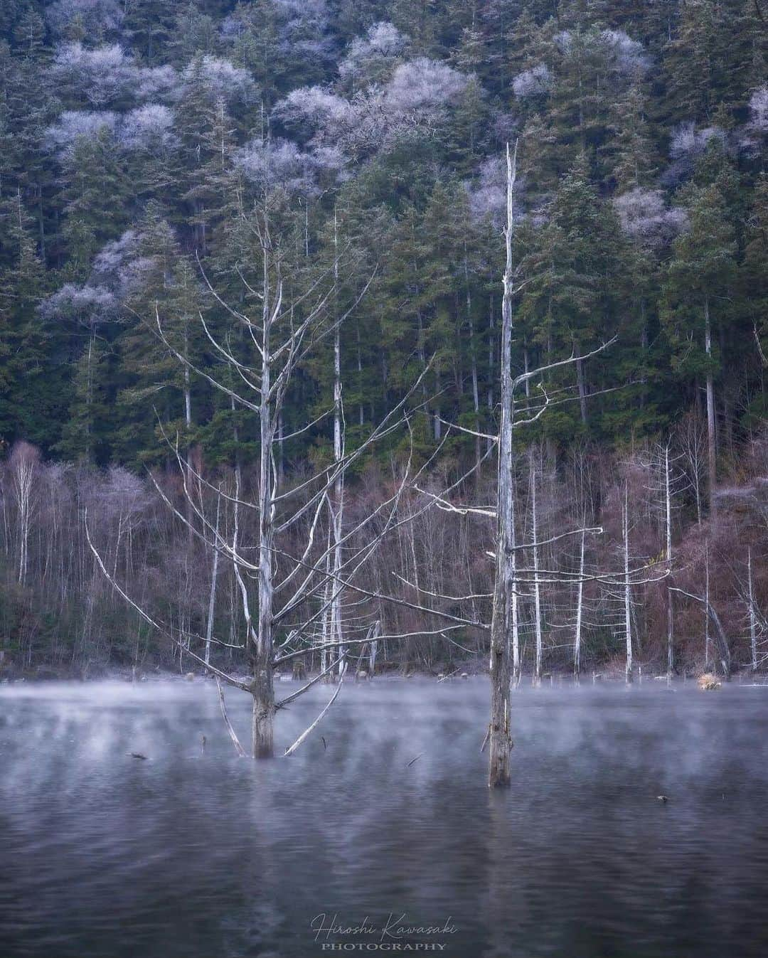 ?長野県 観光 公式インスタグラム のインスタグラム：「// Photo by @hiroshikawasakiphotography  自然遺産 「自然湖」 ＠王滝村  1984年の長野県西部地震により 王滝川がせき止められて生まれた天然湖   立ち枯れの木々が静けさを強調し 湖面には神秘的なオーラが漂います👀✨️  これからの季節は、澄んだ空気でより一層 風景に趣を感じることができますよ😀✨️  ＝＝＝＝＝＝＝＝＝  Lake Shizenko (Otaki Village)  Lake Shizenko was created after a landslide dammed the Otaki River in 1984.  The scenery of withered and barren tree trunks piercing the water’s surface is eerily beautiful.  As the days grow colder, the clear, winter air further accentuates the lake’s beauty.  ＿＿＿＿＿＿＿＿＿　  Location / Otaki Village , Nagano , Japan   #おうちでながの #長野のいいところ #自然湖 #王滝村  ＿＿＿＿＿＿＿＿＿  🍁インスタアワード秋冬⛄作品募集中📷  #長野の列車旅秋冬 撮影場所(長野県内に限ります) をキャプションに入れて 応募期間（10/16～1/31）に投稿してください。 優秀作品に選ばれると 長野県特産品セットをプレゼント🎁」