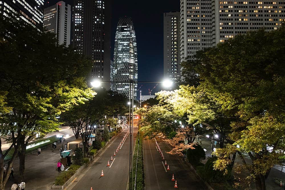 東京都庁広報課さんのインスタグラム写真 - (東京都庁広報課Instagram)「都庁前近辺の夜景 (2023.10.13撮影)  最寄駅：都庁前駅  #tokyotokyo #tokyogram #moodygrams #jp_gallery #ptk_japan #gdayjapan #realtokyolife #beautifuldestinations #tokyojapan #instatokyo #loves_nippon #phos_japan #bestjapanpics #cooljapan #japan_of_insta #photo_jpn #illgrammers #景色 #東京 #東京都 #東京観光 #東京旅行 #東京散歩 #風景 #街の風景 #東京風景 #Tokyo #东京 #도쿄 #tokyogood」11月12日 17時00分 - tocho_koho_official