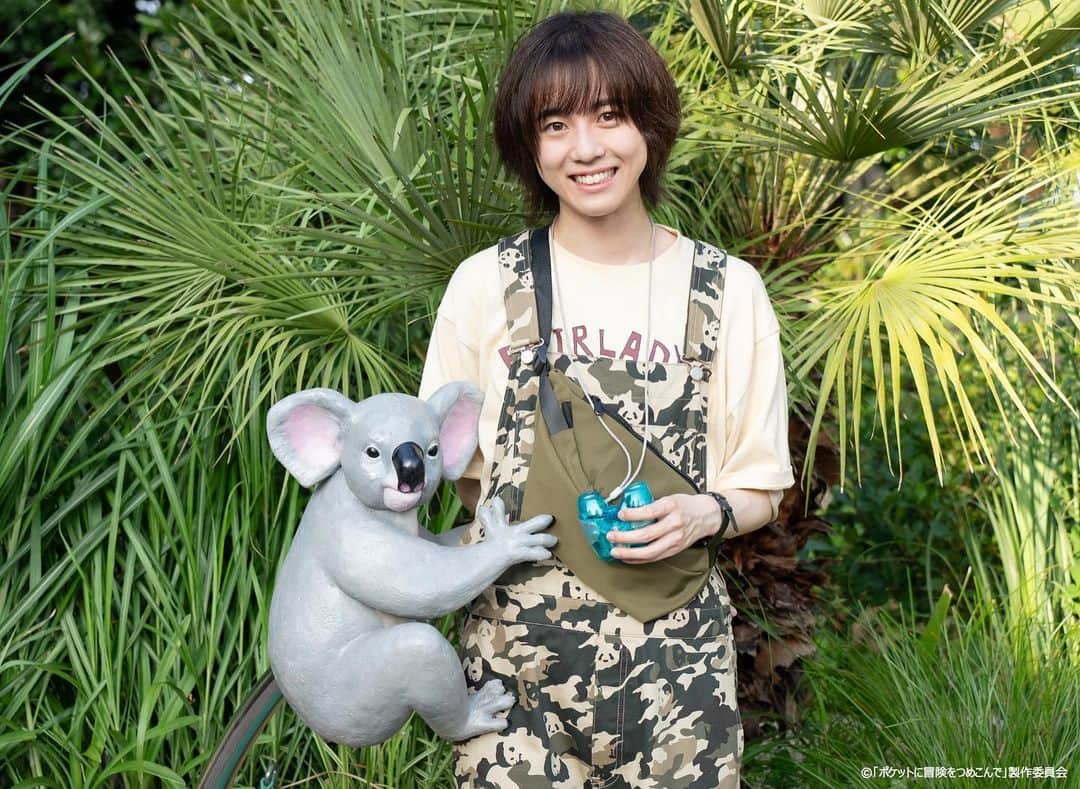 のインスタグラム：「#ポケつめ 小出くんwithコアラ🐨📸  みなさんサファリゾーンですぐにガルーラに出会えましたか？？  #ポケットに冒険をつめこんで  第4話TVer、U-NEXTで見逃し配信中🐨  #世古口凌」