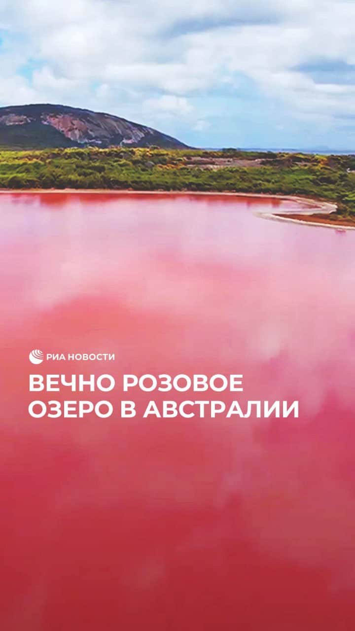 RIAノーボスチのインスタグラム：「Озеро Хиллер привлекает туристов своим необычным ярко-розовым цветом. Такой оттенок вода приобретает благодаря водоросли Дуналиелла. Хиллер остается розовым круглый год. Полюбоваться необычным пейзажем можно только с воздуха.」