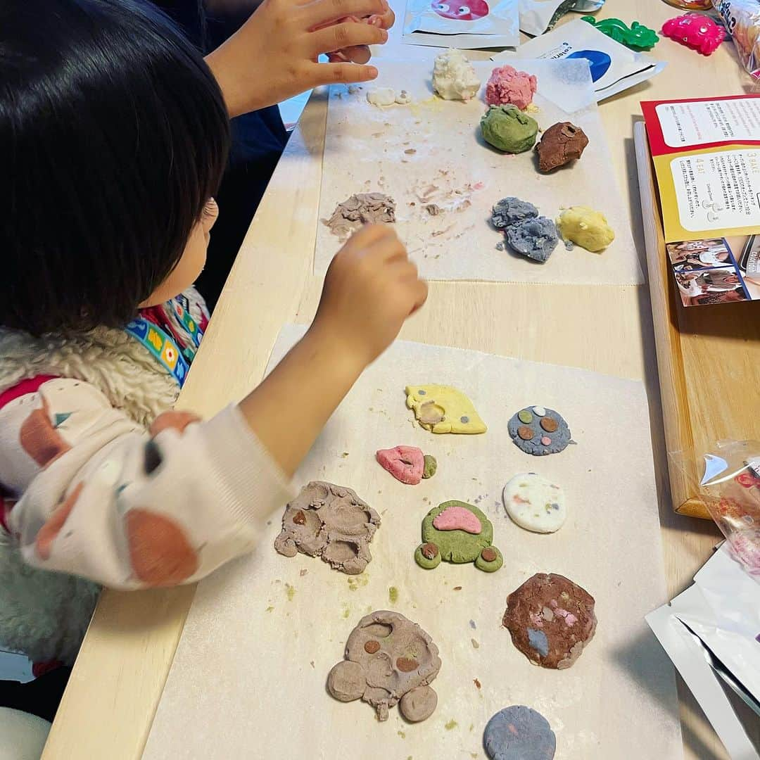 白木夏子さんのインスタグラム写真 - (白木夏子Instagram)「とっても素敵なカラフルクッキー🍪が作れるキット「コロリドー」 @coloridoh_official をいただいたので、娘ズとレッツトライ✨だったんだナ〜 外が寒い今日みたいな日にはピッタリでした😆（日曜まで外に出てたら風邪ひいて月曜発熱からの保育園数日休みとか悲劇でしかないので寒い日は体力温存デー🥶） こちら、色は野菜や果物など天然素材での着色、素材はベジタリアンやヴィーガンといった植物由来で、アレルギーフリーというコンセプトなのが素晴らしい。アレルギー持ちの子供でも安心して楽しめるのが素敵です。プレゼントにもいいな〜と思いました🤗  #クッキー作り #アレルギー対応 #手作りおやつ #休日の過ごし方」11月12日 17時23分 - natsukoshiraki