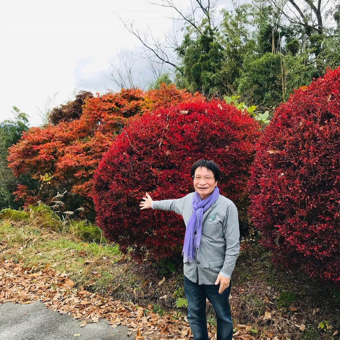 尾木直樹のインスタグラム：「長野県泰阜（やすおか）村の見事な紅葉🍁🍁またまた美味し過ぎる手作り弁当🍱食べて、講演会で原体験の自然教育力について力説する尾木ママです♪花束贈呈💐の淡いピンクの薔薇🌹大好き💕です♪柿柚餅子も美味そのものーー ｰ #泰阜村#人口の１割の参加#自然教育 #森の幼稚園 #山村留学 #意識は最先端#感動の尾木ママ#ピンクの薔薇 #みなさんメモして熱心」