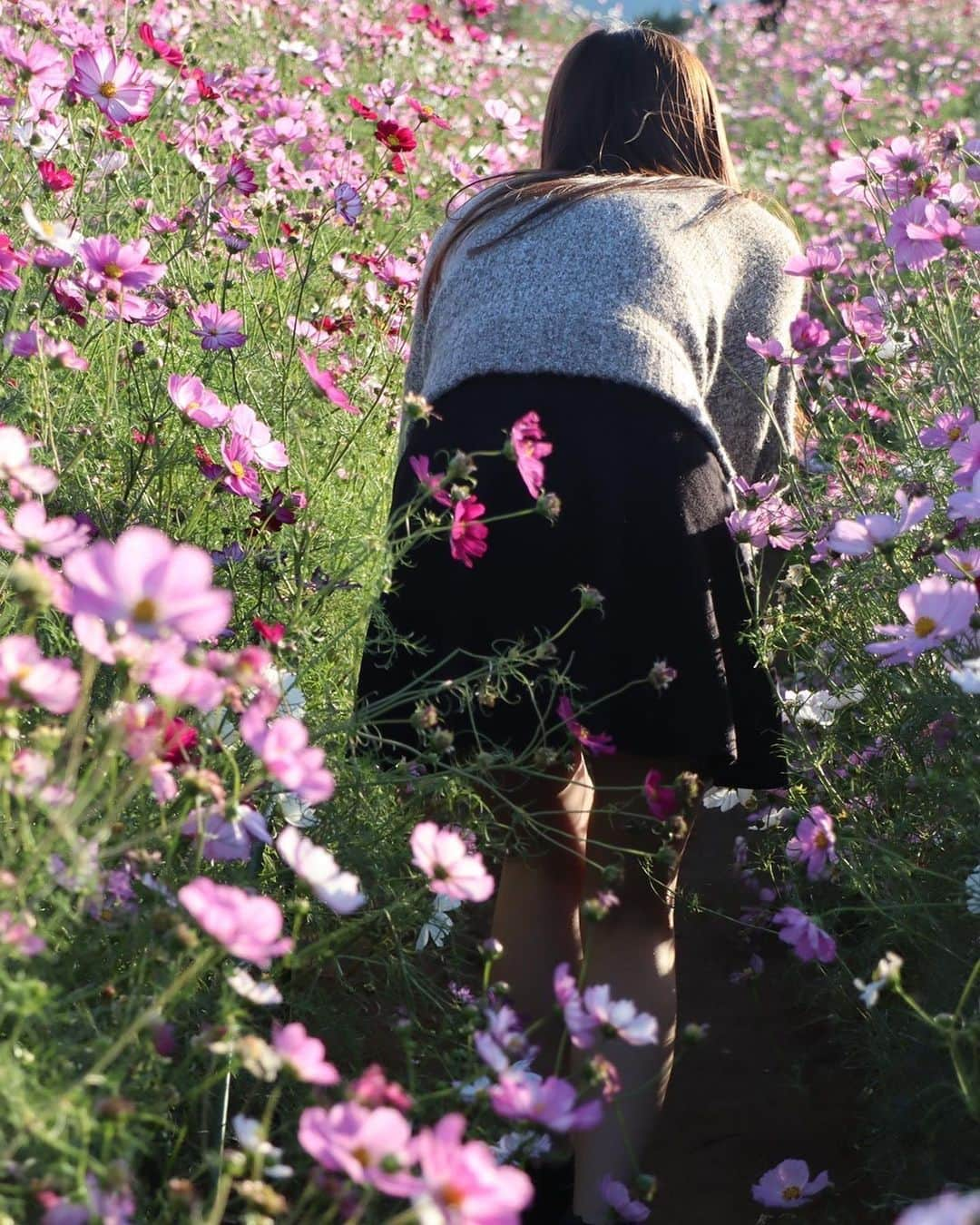 藤田愛理さんのインスタグラム写真 - (藤田愛理Instagram)「・ いつでも ありのままの自分で🌼*･ 何枚目がすき？ 教えてね🫧 #クラポかわいい #スターダストプロモーション #スタプラ #ソレイユの丘 #秋桜 #お花畑 #お花ドレス #にこにこ」11月12日 18時06分 - airi_crownpop