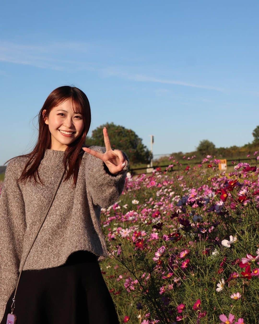 藤田愛理さんのインスタグラム写真 - (藤田愛理Instagram)「・ いつでも ありのままの自分で🌼*･ 何枚目がすき？ 教えてね🫧 #クラポかわいい #スターダストプロモーション #スタプラ #ソレイユの丘 #秋桜 #お花畑 #お花ドレス #にこにこ」11月12日 18時06分 - airi_crownpop