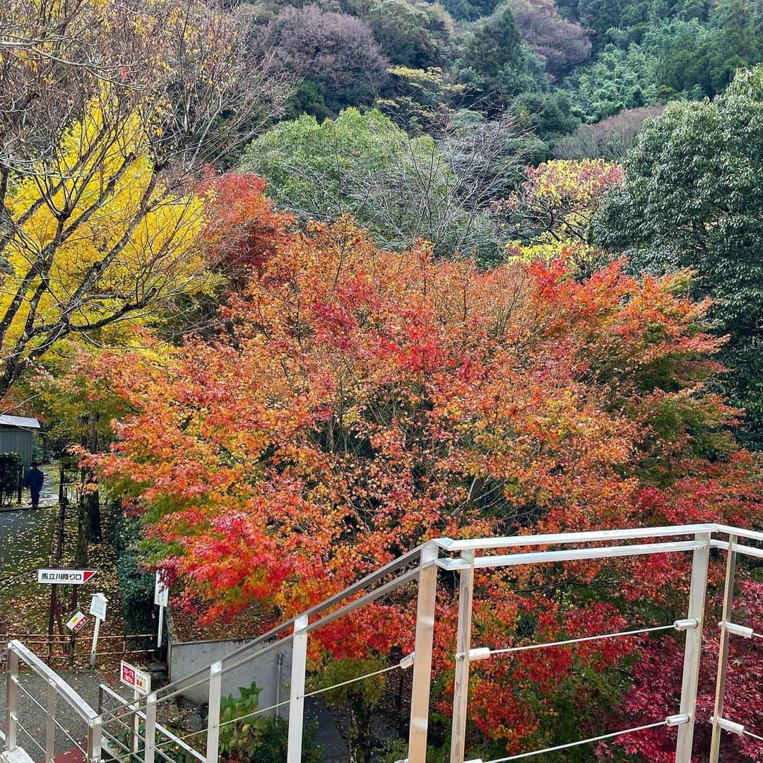 山田あかりさんのインスタグラム写真 - (山田あかりInstagram)「今日から急に寒すぎてびっくり⛄️ 紅葉も一気に進んだね🍁⠜  コート @cherimi_official  この冬1番お気に入りのコート🧥♥ もこもこであったかいのに軽くてらくちん🐰♥ ポッケもついてるよ💋💕  bagもcherimiだよ♡  夫がシェリミーのお洋服はいつも可愛くて好きって言ってたからデートにおすすめかも🥺♡  #PR #cherimi #シェリミー #シェリミーコーデ #コート #もこもこコート #可愛いコート #ショートコート #コートコーデ #もこもこアウター #もこもこアウターコーデ #甘コーデ #紅葉スポット #bag #バッグ #霧の森フォト2023 #新宮茶」11月12日 18時31分 - akari030201