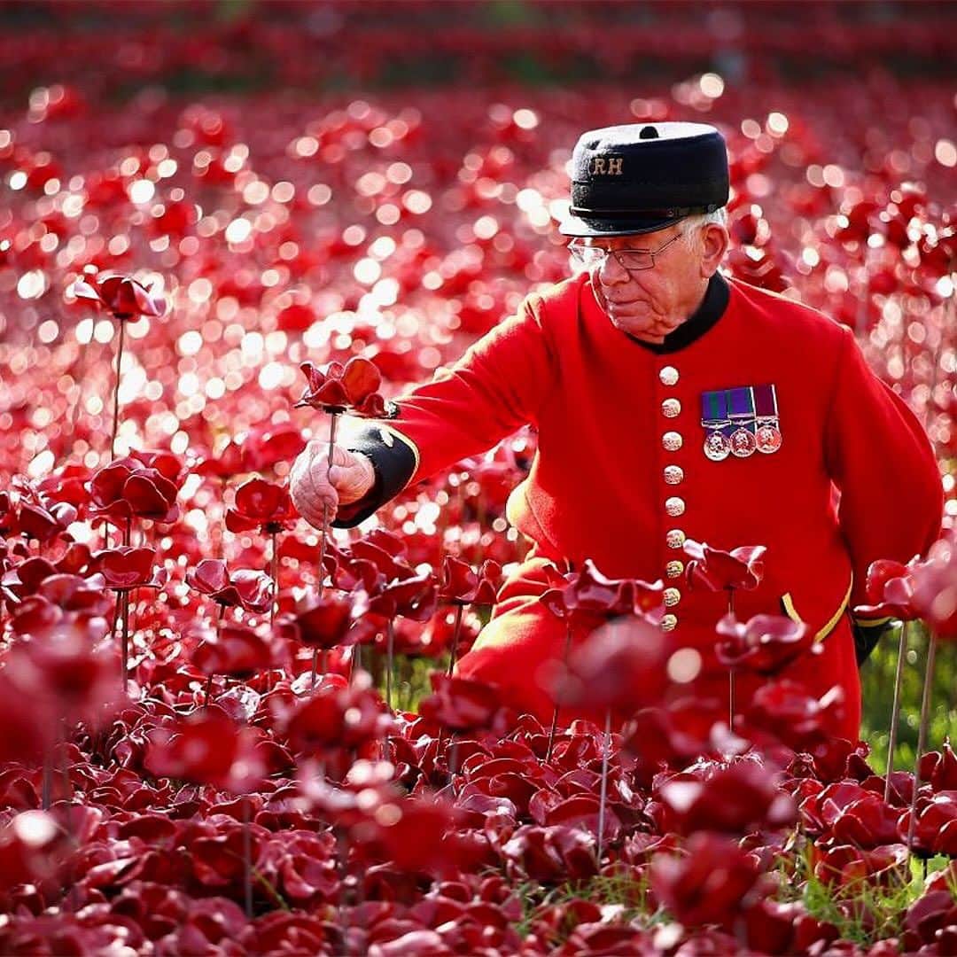 デビッド・ベッカムのインスタグラム：「Today, on Remembrance Sunday, we give thanks for our Armed Forces and we pay our respects for the sacrifice that so many have made for our freedom. #LestWeForget」
