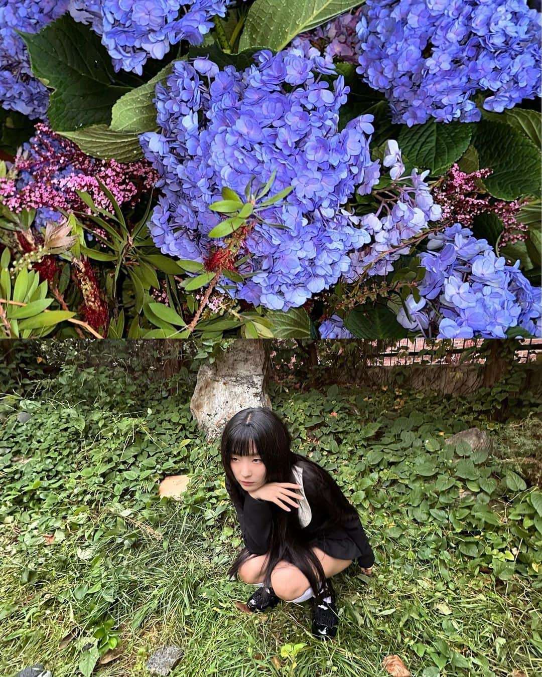 スルギのインスタグラム