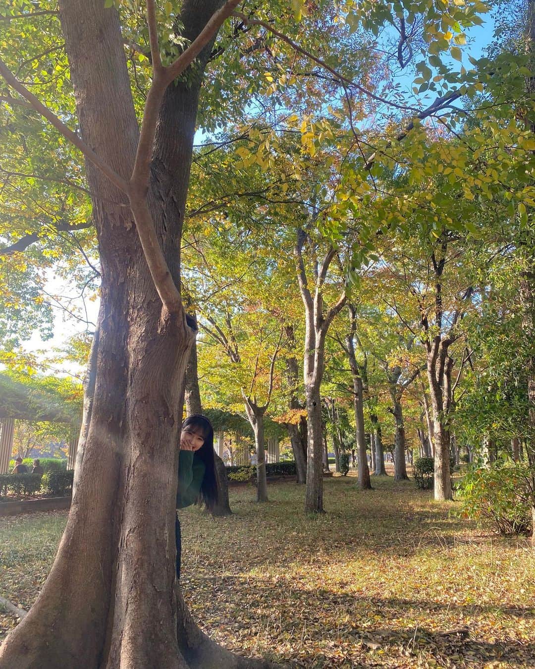 柳澤杏さんのインスタグラム写真 - (柳澤杏Instagram)「友と手作りサンドとアサイーで秋ピク🥪🍁  落ち葉投げて"ふぁー🍂"って映えショット狙ったけど思ってたんとちゃう^ ^笑  来週も1週間がんばろけ🫶🏻」11月12日 18時53分 - an_yngsw