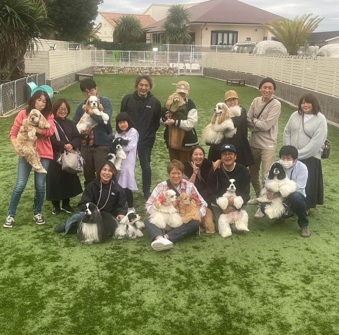 ライオネス飛鳥さんのインスタグラム写真 - (ライオネス飛鳥Instagram)「11月11日、@lamueller_kennel_dog_parkさんにてトウィンクルファミリー関東組プチオフ会開催されました‼️ 初めてのプチオフ会、初めてお邪魔するlamuellさん！ めちゃ楽しかった〜 @twinkle_cocker なおちゃん、オーナーさん、スタッフの皆さん本当にありがとうございました！  @lamiuelle_kennel_dog_park さんはクラブハウス始め、ドッグラン、カフェ、ぜーんぶがめちゃ素敵！ オーナーのセンスの良さが隅々まで感じられます‼️ お食事もイタリアンからおでん🍢まで！ めちゃ美味しかった〜 少人数の宿泊施設もめちゃかわいいの！ ドッグランもめちゃ広くてトウィンクルコッカーたちは大はしゃぎでした！ お問い合わせは＠twinkle_cockerまでお願いします！ 久しぶりにファミリーの皆さん、コッカーちゃんたちに会えて遊んでもらってベビハニも超ご満悦でした！  これから関東組のオフ会ここがいいんじゃないかなぁ〜  #ライオネス飛鳥 #lanuell kennel dog park #twinkle cocker #オフ会 #サイコー #楽しかった #ありがとう」11月12日 19時04分 - lionessaska