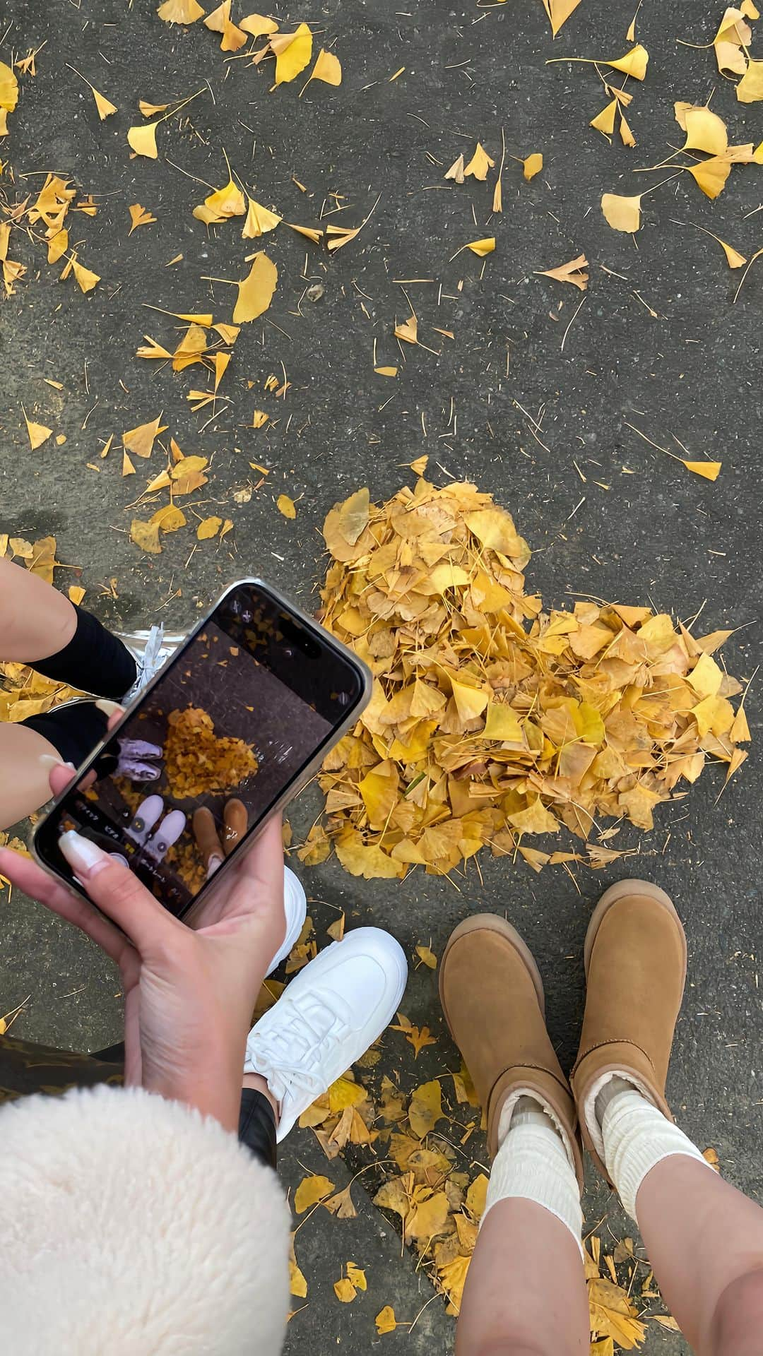 瀬戸南のインスタグラム：「𝐀𝐮𝐭𝐮𝐦𝐧 𝐥𝐞𝐚𝐯𝐞𝐬   ALL @zara   太原のイチョウ初めて行った🍁🤎 明日コーデ詳細postしよっと📸 篠栗の呑山観音寺行きたいなぁ〜  最高休日でーした🥰🫶🏻  みんなはなにした？🤍  #DIANTE#DIANTE_STYLE #ZARA#ca4la#louisvuitton  #紅葉#紅葉コーデ #太原 #太原外围 #福岡紅葉」