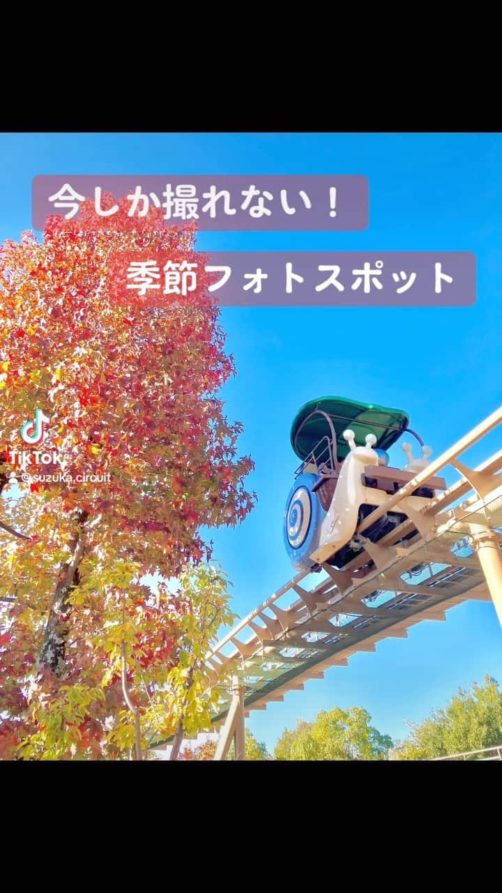 鈴鹿サーキット【公式】のインスタグラム：「今しか撮れない❗️  紅葉とクリスマスを両方🍁🎄 楽しめるフォトスポットを紹介✨  アトラクションと一緒に楽しんでね📸  #鈴鹿サーキットパーク #遊園地 #テーマパーク #東海 #三重県 #鈴鹿市 #三重旅行 #子供とお出かけ #家族でお出かけ #赤ちゃんとお出かけ　#クリスマス #冬 #イベント #フォトスポット」