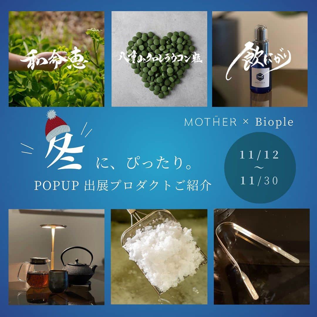 岡清華のインスタグラム：「【 11/12-11/30 Biople七里ヶ浜店 POPUP SHOP👩✨】  本日、11/12- 月末まで🙋‍♀️✨」