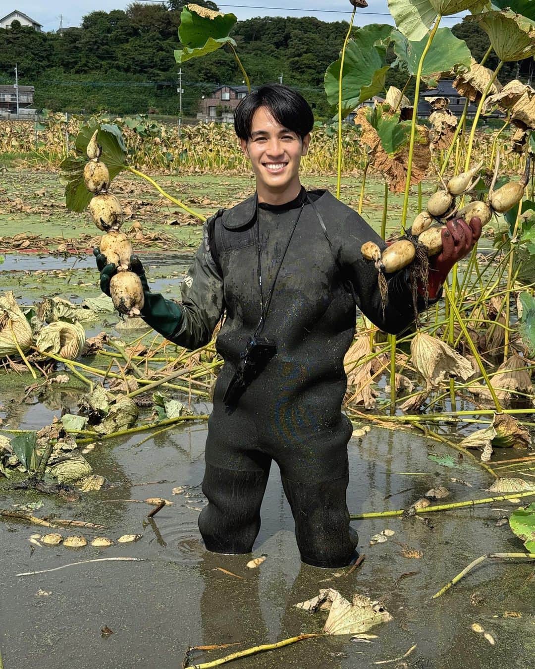 武隈光希さんのインスタグラム写真 - (武隈光希Instagram)「. レンコンとってきました🙌 . . . トロピカルフルーツ、白魚、サツマイモと収穫体験を続けて、、 今回は『レンコン』！  茨城県はレンコンの全国シェア5割をしめていて、中でも霞ヶ浦周辺では豊富な水と豊かな土地があることで生産が盛んなんだそう。  レンコン収穫はとにかく大変。足がとられる泥水の中を一歩一歩進み、胴体のあたりまで体を沈めます。水の勢いで泥を飛ばしていき、スポンッ！とレンコンがとれる瞬間は超爽快🍃  宝探しをしているような感覚で、貴重な経験になりました！  レンコンはシャッキシャキで食感最高。優しい甘さも感じました。レンコンの天ぷらは特に美味しかったですよ〜！  苦労して収穫したからこそ、より美味しくいただけました！  #レンコン #レンコン収穫 #茨城県 #霞ヶ浦 #テレビ朝日 #アナウンサー #グッドモーニング」11月12日 19時11分 - mitsuki.takekuma_ex