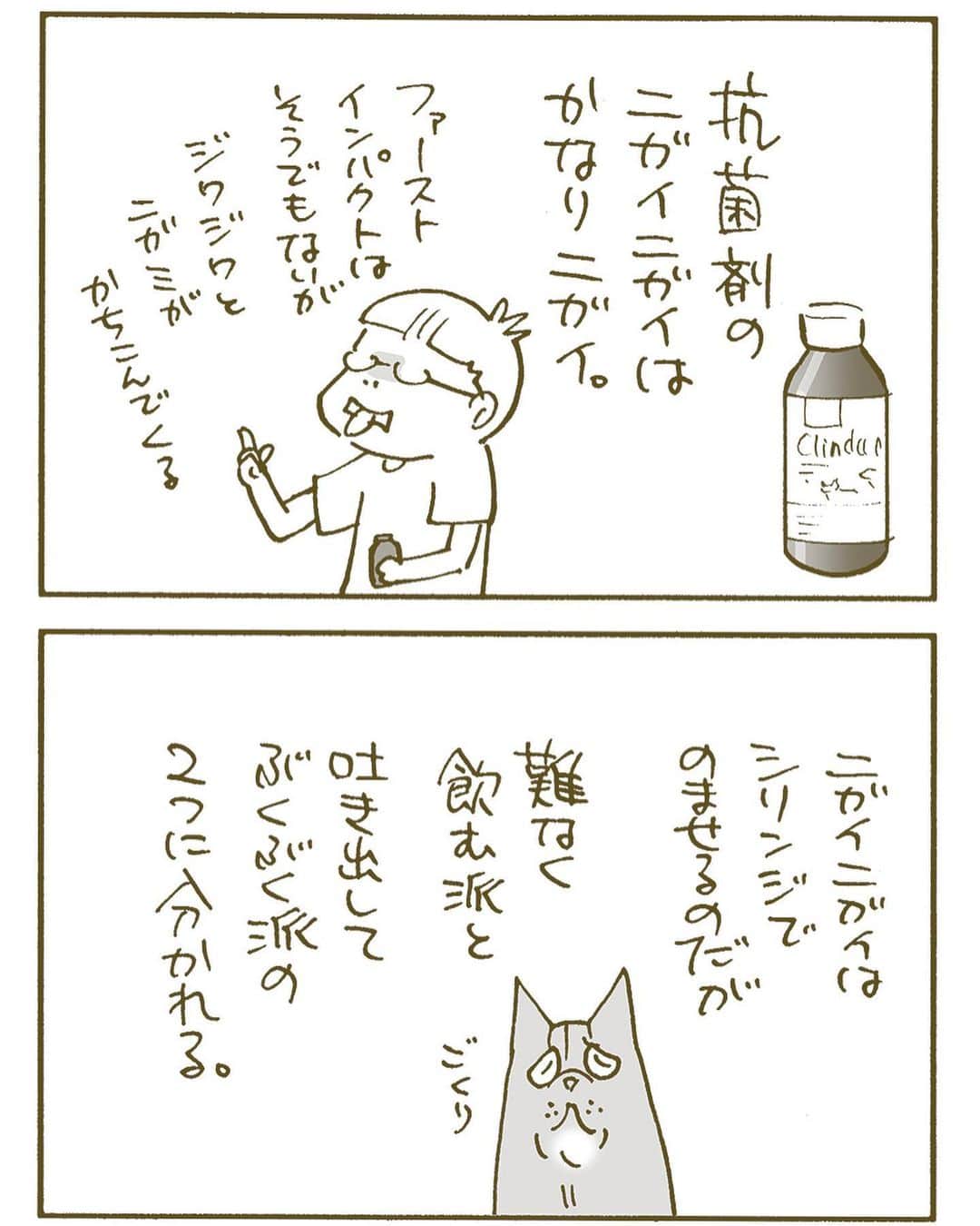 のインスタグラム：「ニガイニガイ今昔  #胡ぼん #膿瘍治療中」