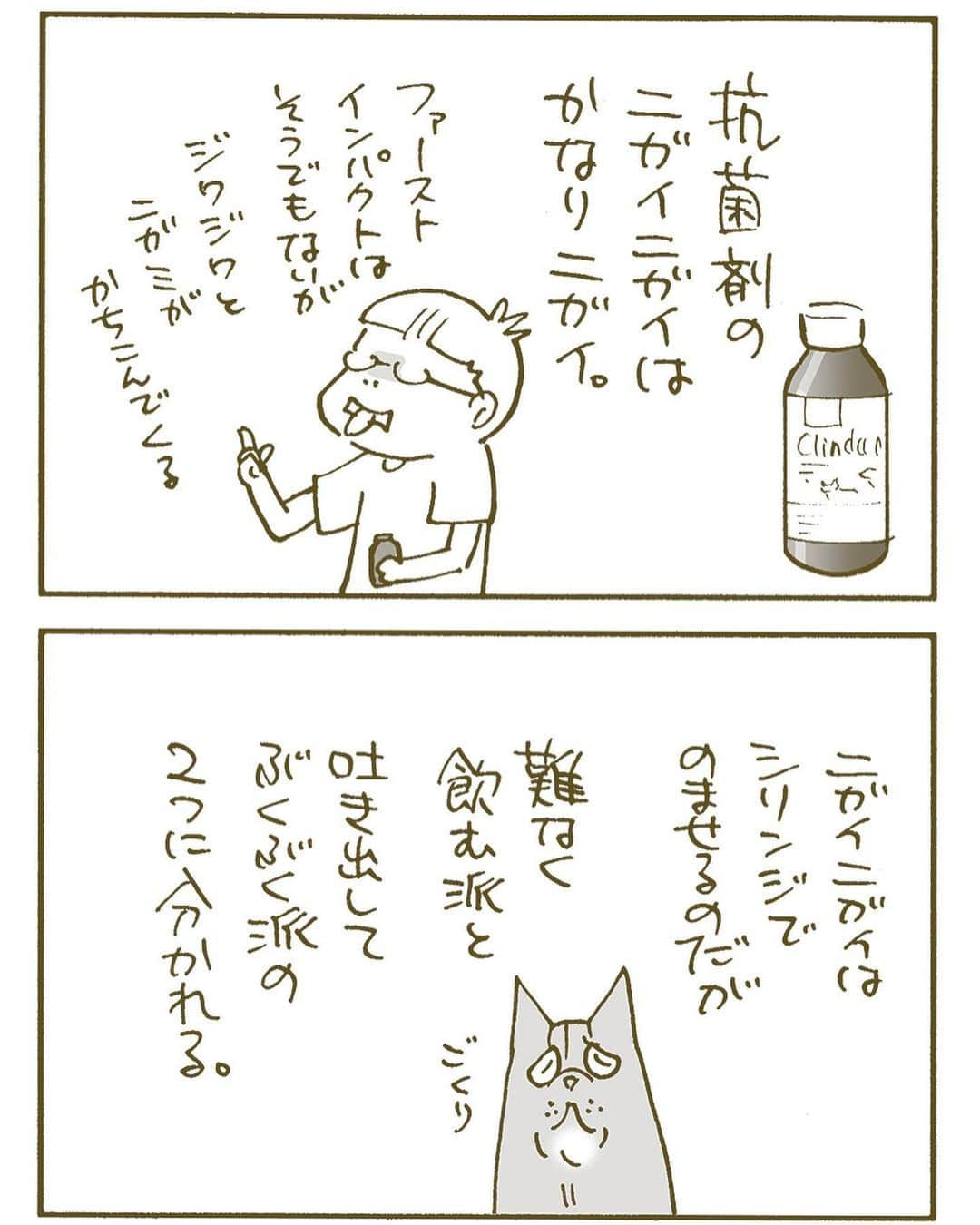 くるねこ大和のインスタグラム