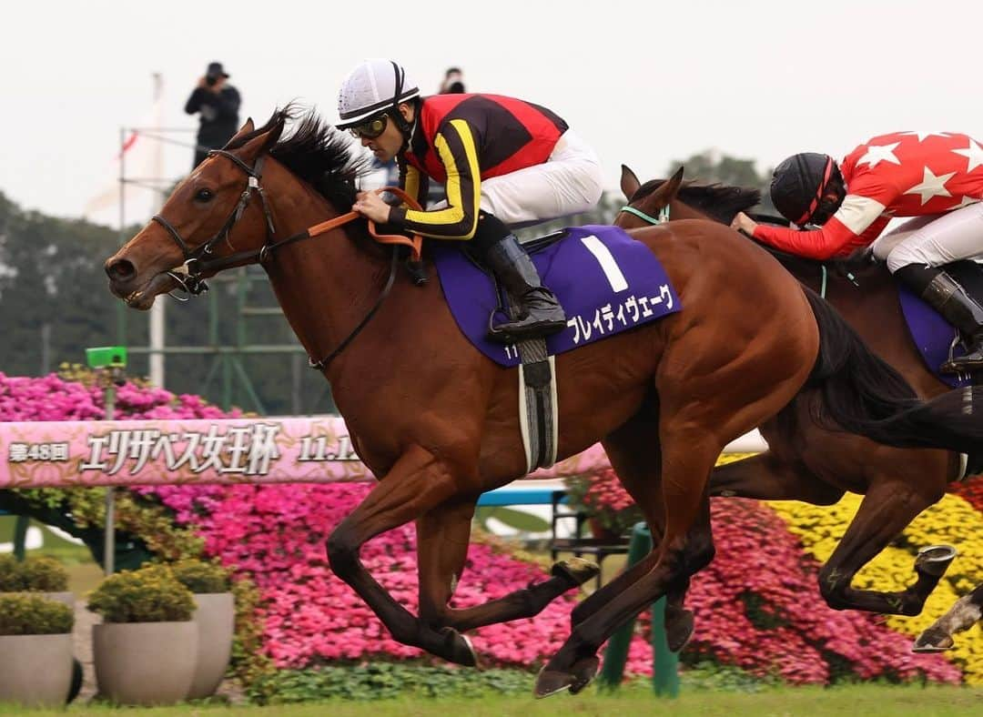 クリストフ・ルメールさんのインスタグラム写真 - (クリストフ・ルメールInstagram)「Brede Weg wins the G1 Queen Elizabeth II Cup at Kyoto in style! Congratulations to owners Sunday Racing Co. Ltd and trainer Keisuke Miyata 🏆 #CL #BredeWeg  ブレイディヴェーグが京都G1クイーンエリザベス2世カップで華麗に優勝！オーナーのサンデーレーシング株式会社と宮田圭介調教師、おめでとうございます🏆 #CL #BredeWeg」11月12日 19時14分 - christophelemaire_officiel