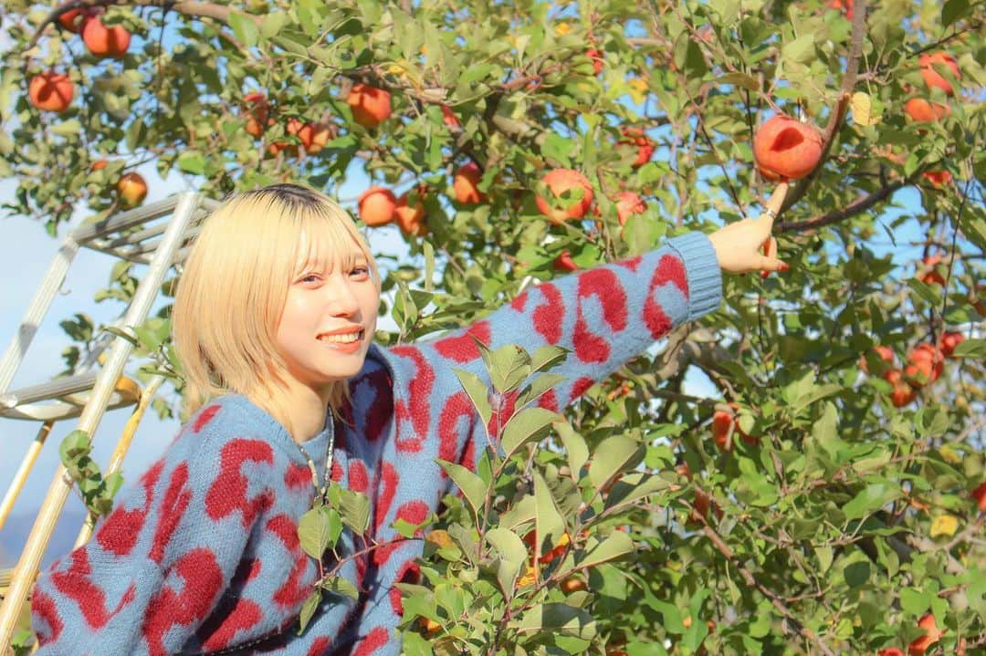 茂木忍のインスタグラム
