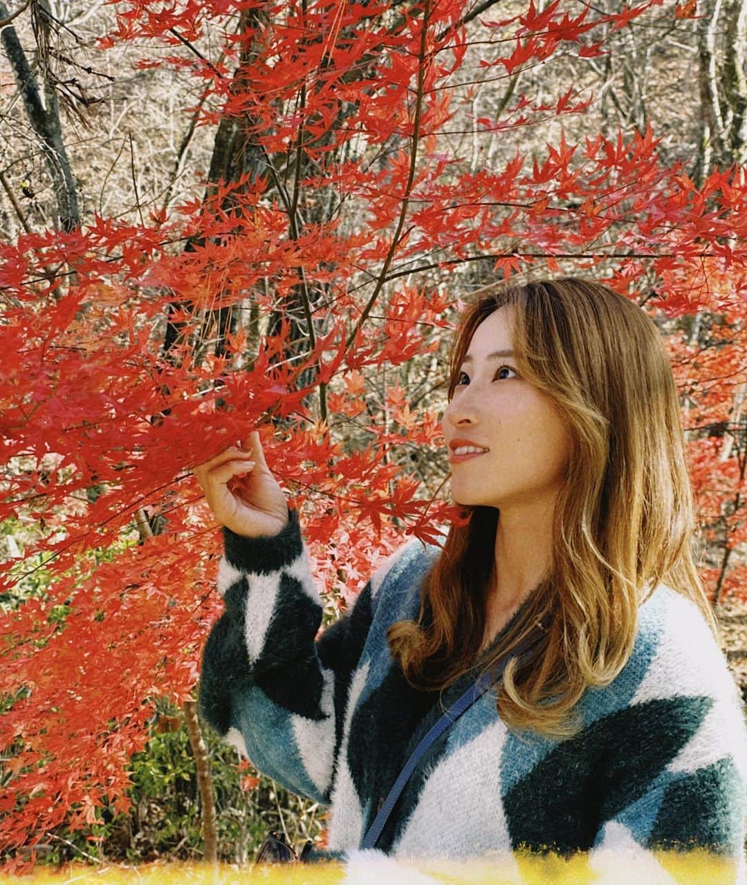 澁澤莉絵留のインスタグラム：「＊ ＊ やっぱり山派なんだよなぁ🗻🍁🍂🤎‪🧡‬‪  山行くと落ち着く😌  海派と山派はどっちが多いんだろ。🙄 ⁡  いつも自然の中にいるのに、プライベートでも自然に行きたくなるのなぁぜなぁぜ？？😕  #秋 #秋色 #紅葉 #木になっても散っても綺麗な紅葉 #落ち葉拾い大変だけど #私は好きだった #寒くなってきたから #風邪引かないよーに #気をつけよーね  #もーすこし #がんばろ😗」