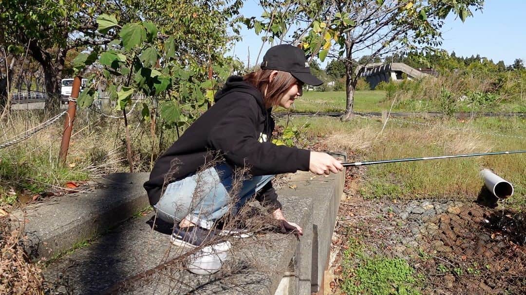 内山ミエのインスタグラム：「秋満喫🍁天気よくて最高‼️ 動画も撮ってきました📷YouTube upです🐟✨  こういうのなんて言うんですか？用水路釣り....水路系釣り.....🤫??  動画の途中では、いまのキモチもおはなししました。普段あまり語ったことがないから、また少し知ってもらえたら良いかなって思います😌  #釣り #新潟 #タナゴ #ヤリタナゴ #川釣り」