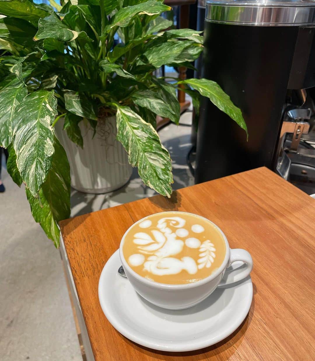 小林恵月さんのインスタグラム写真 - (小林恵月Instagram)「📍 Maker coffee ☕️  メルボルン最終日。 美味しいコーヒーを飲みたくて、 お姉ちゃんがおすすめしてくれたカフェに 2人で行ってきた👯‍♀️🩷 ユニコーン？みたいなラテアートが来て めちゃくちゃ嬉しかった〜🦄 まさかメルボルン最終日にこんなステキな Flat white が飲めて幸せだったなぁ〜🥰 そして日本人スタッフの方が 淹れたてほやほやのコーヒーもくれて、 飲みやすかったし美味しかった！ @makercoffeemelbourne  @tomo_to_coffee  Thank you ✨」11月12日 20時00分 - ezuki_kobayashi