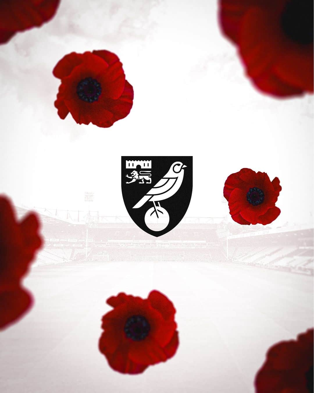 ノリッジ・シティFCさんのインスタグラム写真 - (ノリッジ・シティFCInstagram)「We will remember them. 🌹  #LestWeForget」11月12日 20時00分 - norwichcityfc