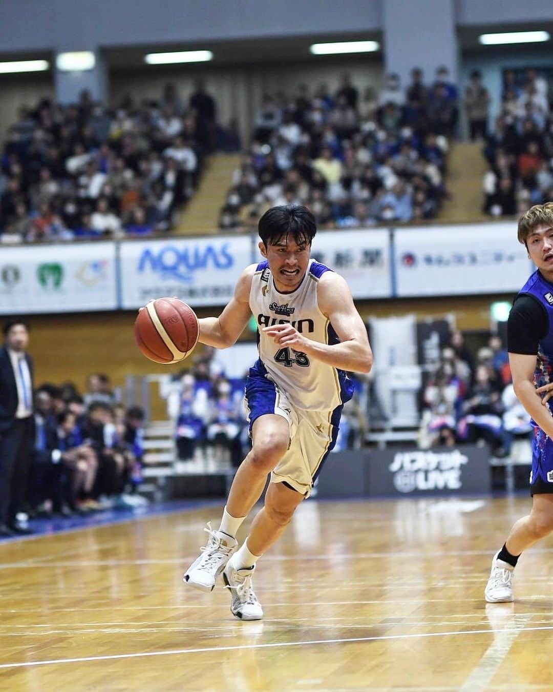 シーホース三河さんのインスタグラム写真 - (シーホース三河Instagram)「11/12(日) vs.FE名古屋 #PHOTO FE名古屋 82-72 三河  #ガチ  #シーホース三河  #Bリーグ #シーホース #seahorsesmikawa #BLEAGUE #バスケットボール #バスケ #basketball #三河」11月12日 20時02分 - go_seahorses