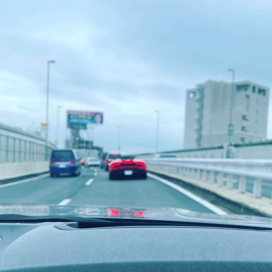 佐藤東弥のインスタグラム：「本早朝 4号線上りにてランボと遭遇した ラッキーデイになるか？」
