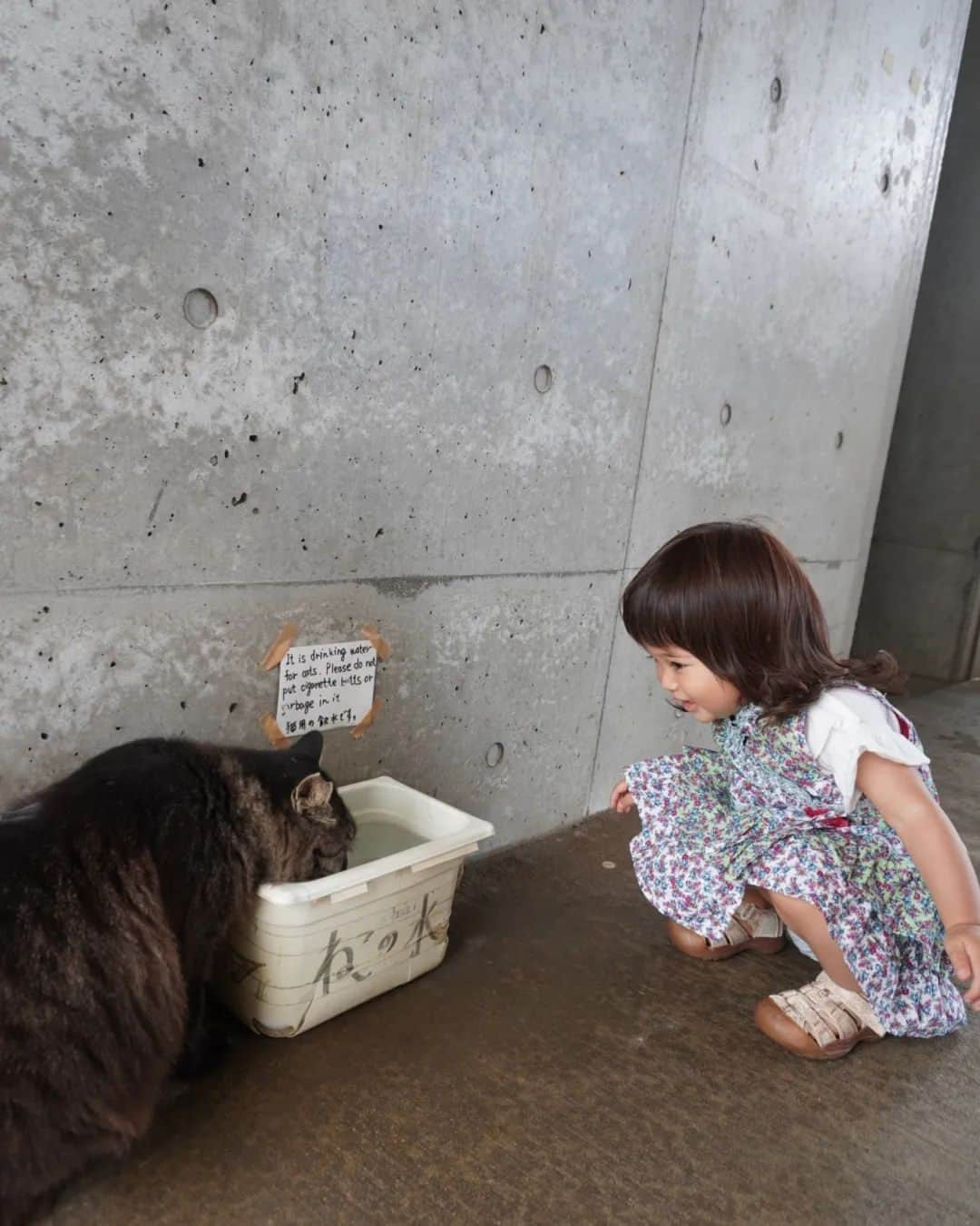 芳美リンさんのインスタグラム写真 - (芳美リンInstagram)「🗾読谷/沖縄　Yomitan/Okinawa  #残波岬灯台 沖縄で一番高い灯台なんだそう✨  有名な泡盛、“残波”の名称になっているので、 聞き覚えだけはありました(*^^*)  最高の景色♪♪♪ 最初のお宿、グランディスタイル沖縄読谷ホテル＆リゾートから5分ほどのドライブで行けるスポットです。  今回の沖縄旅もcarstayで借りたキャンピングカーで旅しているので、また色々とアップしていきます✨  #Jetstarで沖縄#carstayアンバサダー #マタ旅#子連れ旅#トラベラルトドラー#travelToddler #japantrip #okianwatrip #沖縄旅行#読谷#読谷村#マタニティコーデ#ベビモに載りたい」11月12日 20時08分 - lynn.lynn5