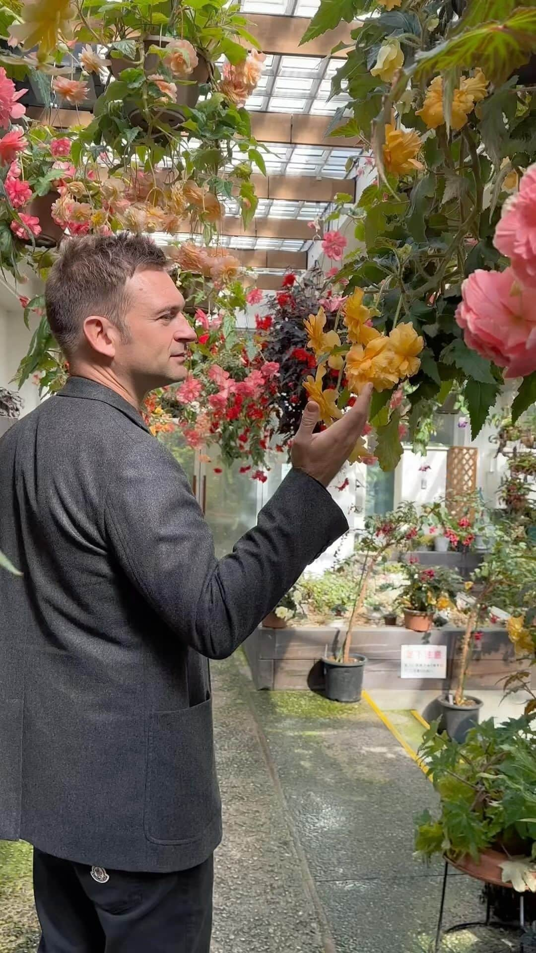 ニコライ・バーグマン・フラワーズ＆デザインのインスタグラム：「Exploring Fukuoka’s Botanical Garden 🌺 Look at these beautiful begonias!   This weekend I was honoured to be appointed ambassador for the @hitori_hitohana event that was held at this beautiful location.   #nicolaibergmann #ニコライバーグマン #フラワーデザイン」