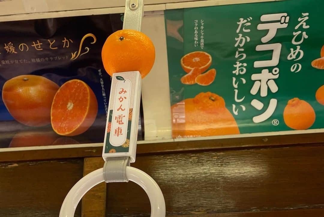 高畠麻奈さんのインスタグラム写真 - (高畠麻奈Instagram)「🍊愛媛初上陸♨️ 四国旅最終日は体調回復！ こじんまりとした雰囲気が好みだった道後温泉。 朝風呂や足湯withみかんジュースでポカポカ。 テンションが上がったみかん電車。 松山城に向かうリフトが気持ち良くて大はしゃぎ。 かとうよしあきくんにしっかり挨拶。 敷地内にあった松の木の美しさにほれぼれ。  のんびりするにはピッタリの道後温泉、また行きたい☺︎  #愛媛県#愛媛旅行#四国旅行 #道後温泉#足湯カフェ#坊ちゃん #みかん電車#鯛めし#松山城」11月13日 6時31分 - mana_724