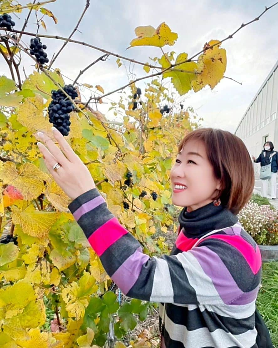 清水まり子のインスタグラム：「千曲川東御市ワインバレーワイナリーツアーへ🍇 美味しいワインの飲み比べで贅沢な時間を味わい、楽しかった～😆 #みんなに感謝  #東御市ワイナリー  #軽井沢  #ワイン  #千曲川ワインバレー  #多幸感  #椀子ヴィンヤード  #椀子ワイナリー  #mariko  #thankyou」