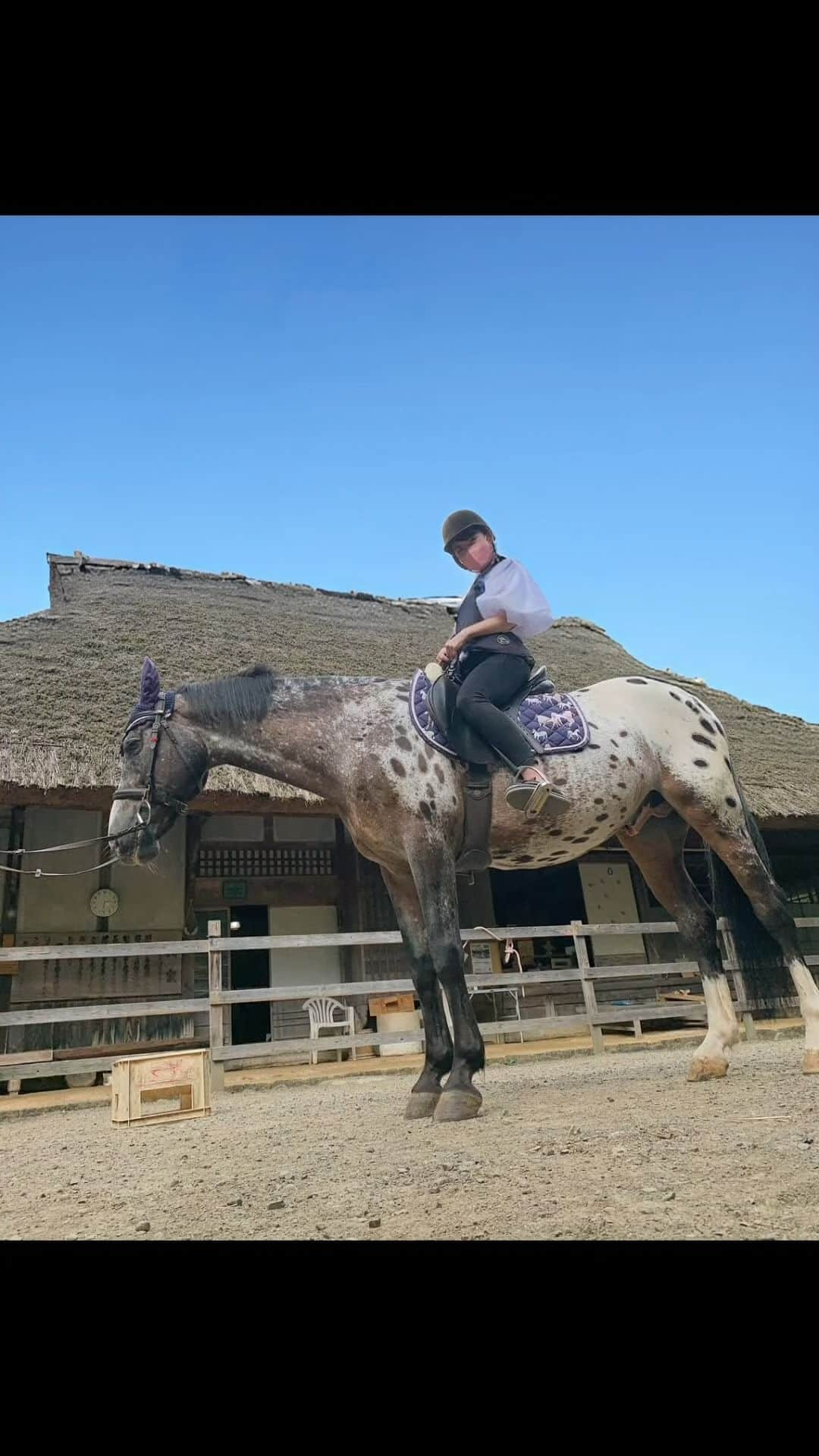 愛媛朝日テレビ アナウンサーのインスタグラム：「今日のアハ体験ムービー👀 木和田アナの乗馬の写真から🏇  #eat #愛媛朝日テレビ #愛媛  #アハ体験 #間違い探し #木和田優衣  #アナウンサー #乗馬 #馬」