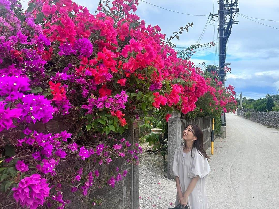 伊藤舞さんのインスタグラム写真 - (伊藤舞Instagram)「🏝️ 週末、石垣島へ。 初日、たまーに青空が見えたものの、 滞在中半分以上は雨。 なので、途中から食べ物の写真ばかり…笑 . そんな中でも、唯一雨に降られず楽しめた竹富島。 青空だったら最高だろうけれど、 曇り空の景色でも非日常感はたっぷり味わえました♡ . ARNEで旅記事を書こうと思っているので お楽しみに♡ . . #familytrip  #石垣島  #竹富島」11月12日 22時00分 - maiito_fbs