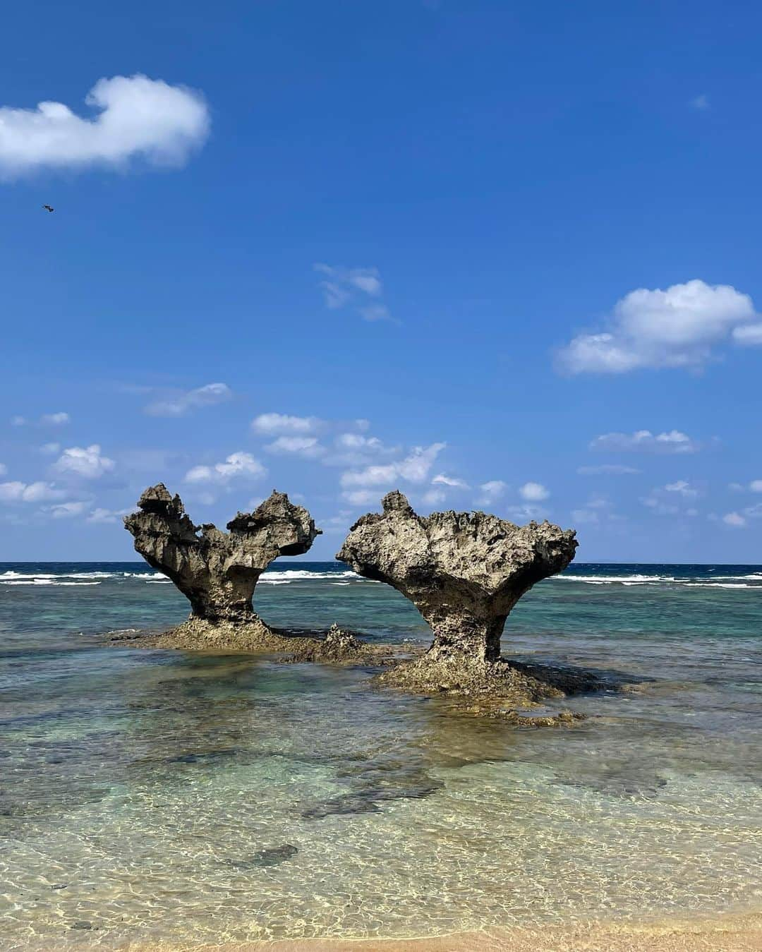 上杉桜子さんのインスタグラム写真 - (上杉桜子Instagram)「沖縄のお写真🌴 気候と食べ物とゆったりとした時間に癒されました😌 また行きたいな！  #沖縄 #okinawa #古宇利島 #錦屋 #海鮮うに丼 #ハートロック #琉球村 #瀬長島ウミカジテラス #氾濫バーガーチムフガス #家族旅行」11月12日 22時05分 - sakurakouesugi