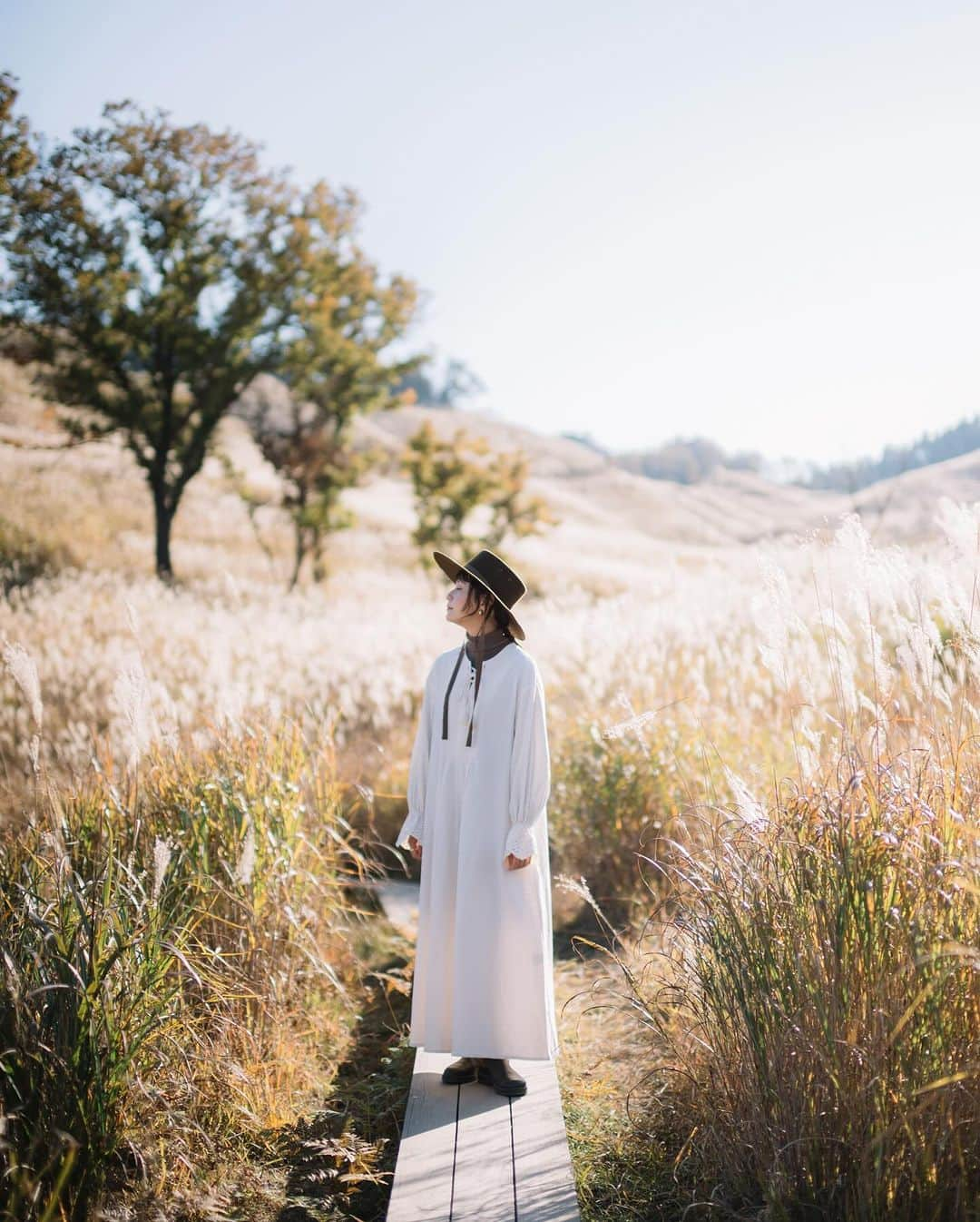 shinichi38のインスタグラム：「⁡ ⁡ ⁡ Dress in autumn 🎑 ⁡ ⁡ ⁡ Shot on Nikon Zf NOKTON 40mm F1.2 Aspherical Z ⁡ ⁡ #nikon #zf #nikonzf  #nikoncreators  #zcreators」